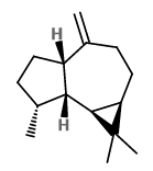 alloaromadendrene.png alloaromadendrene.png
