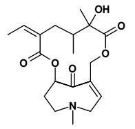 senkirkine.jpg senkirkine.jpg