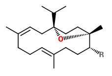 incensole_a.jpg incensole_a.jpg
