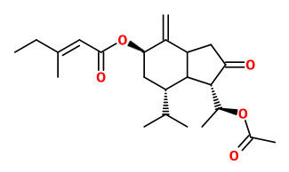 tussilagone.jpg tussilagone.jpg