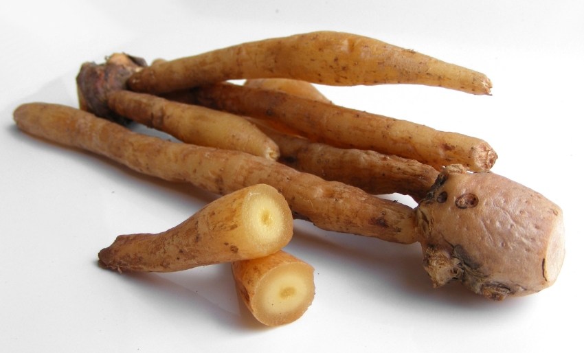 boesenbergia_rotunda_root.jpg boesenbergia_rotunda_root.jpg