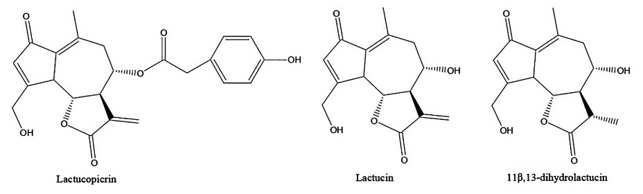 lactu.jpg