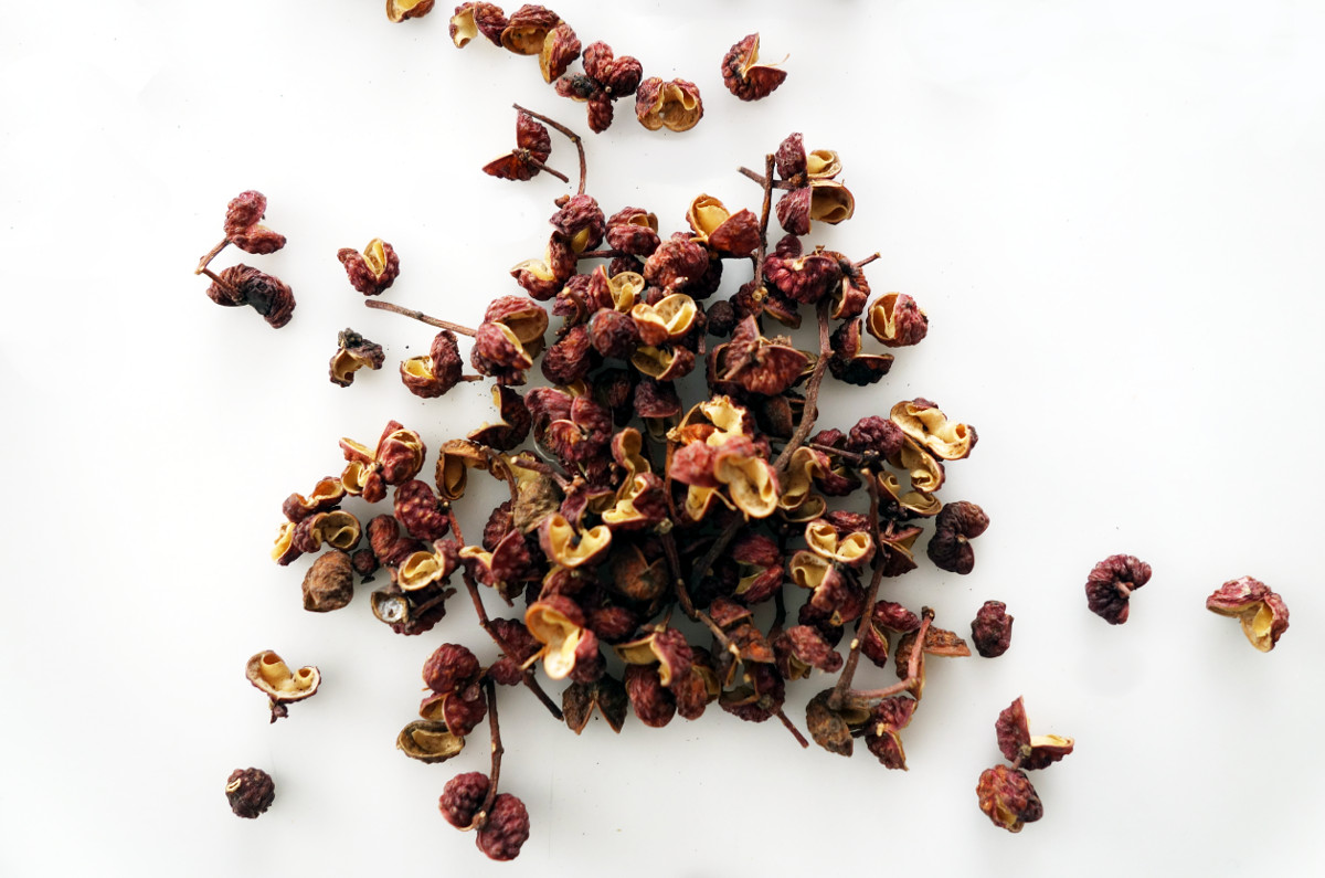 zanthoxylum_simulans.jpg zanthoxylum_simulans.jpg