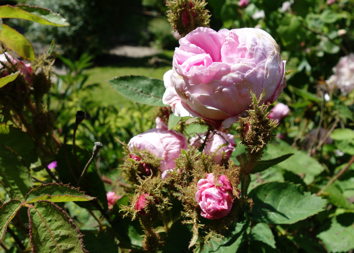 dsc05661k.jpg dsc05661k.jpg