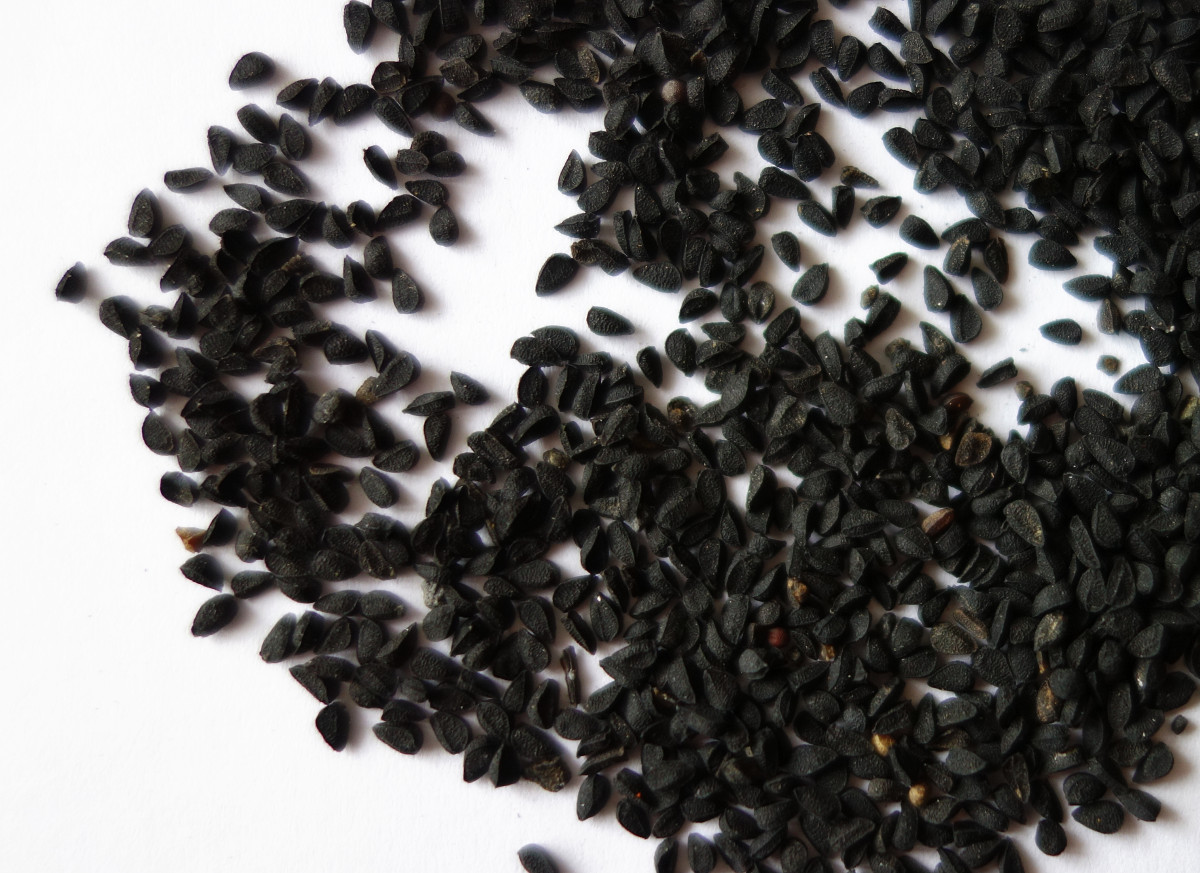 schwarzkuemmel.jpg schwarzkuemmel.jpg