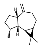 alloaromadendrene