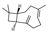  caryophyllene