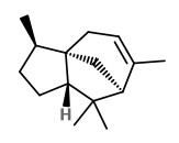  α-cedrene 