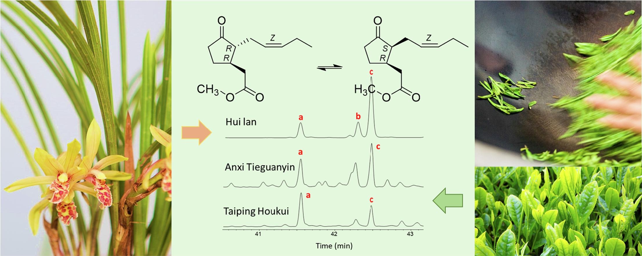 feng2020.jpg feng2020.jpg