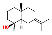 juniper camphor