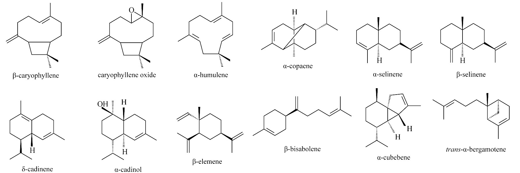 molecules-17-03866-g001.jpg molecules-17-03866-g001.jpg