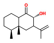  santalcamphor 