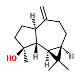 (+)-spathulenol