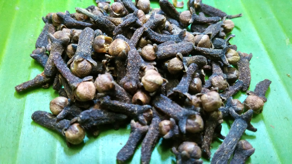 syzygium_aroma_clove.jpg