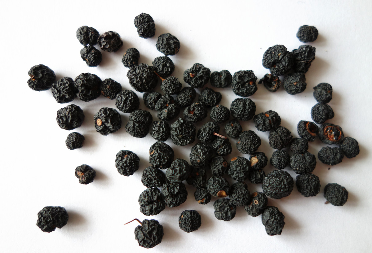 tasmannia_lanceolata_fruit.jpg