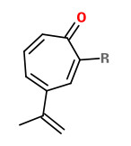  β-thujaplicin 