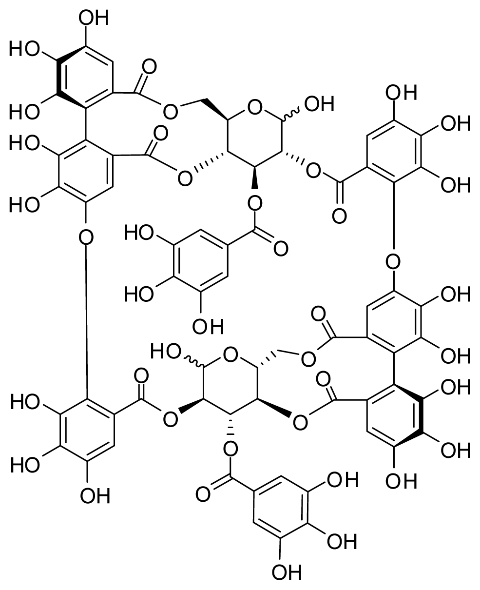  oenothein B