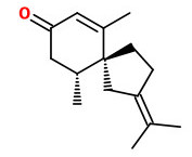 vetivone_beta.jpg