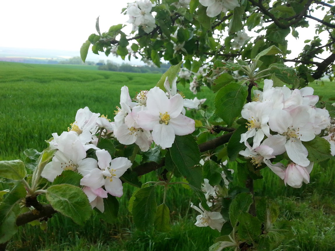 20140425_1552.jpg