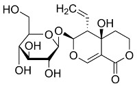swertiamarin.jpg