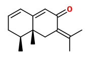 karanone.jpg