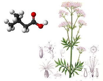 tinktur_v.jpg tinktur_v.jpg