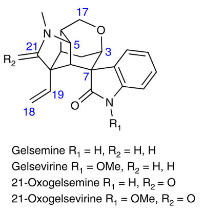 gelsemium_alk.jpg