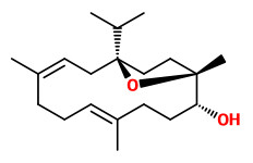  incensole